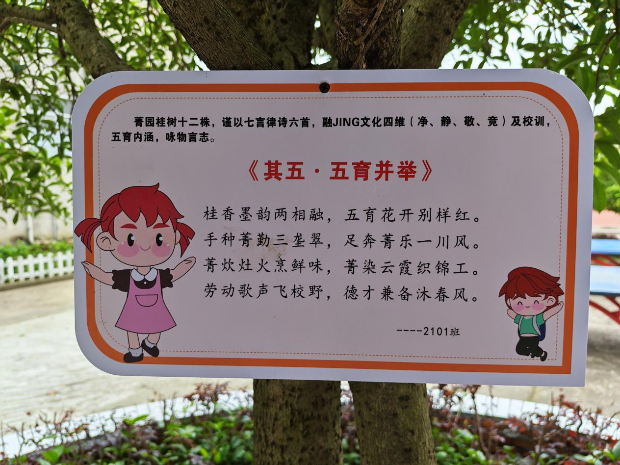 图片6.png
