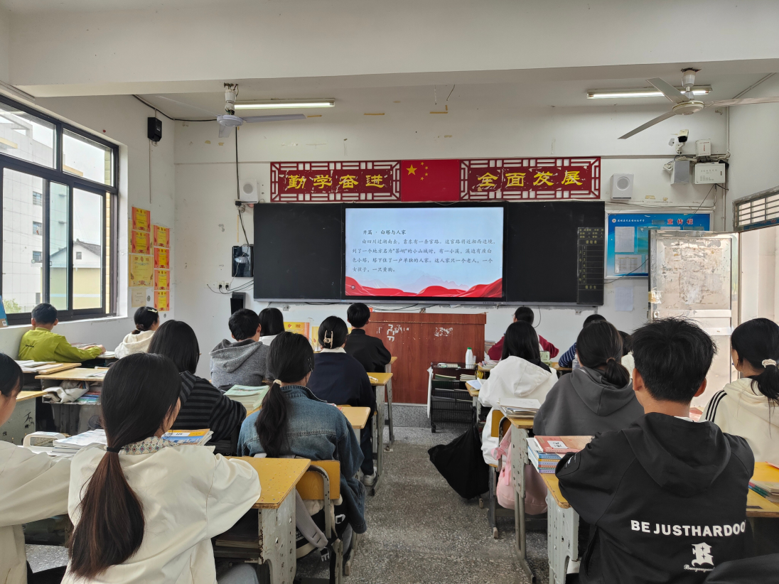 图片12_副本.png