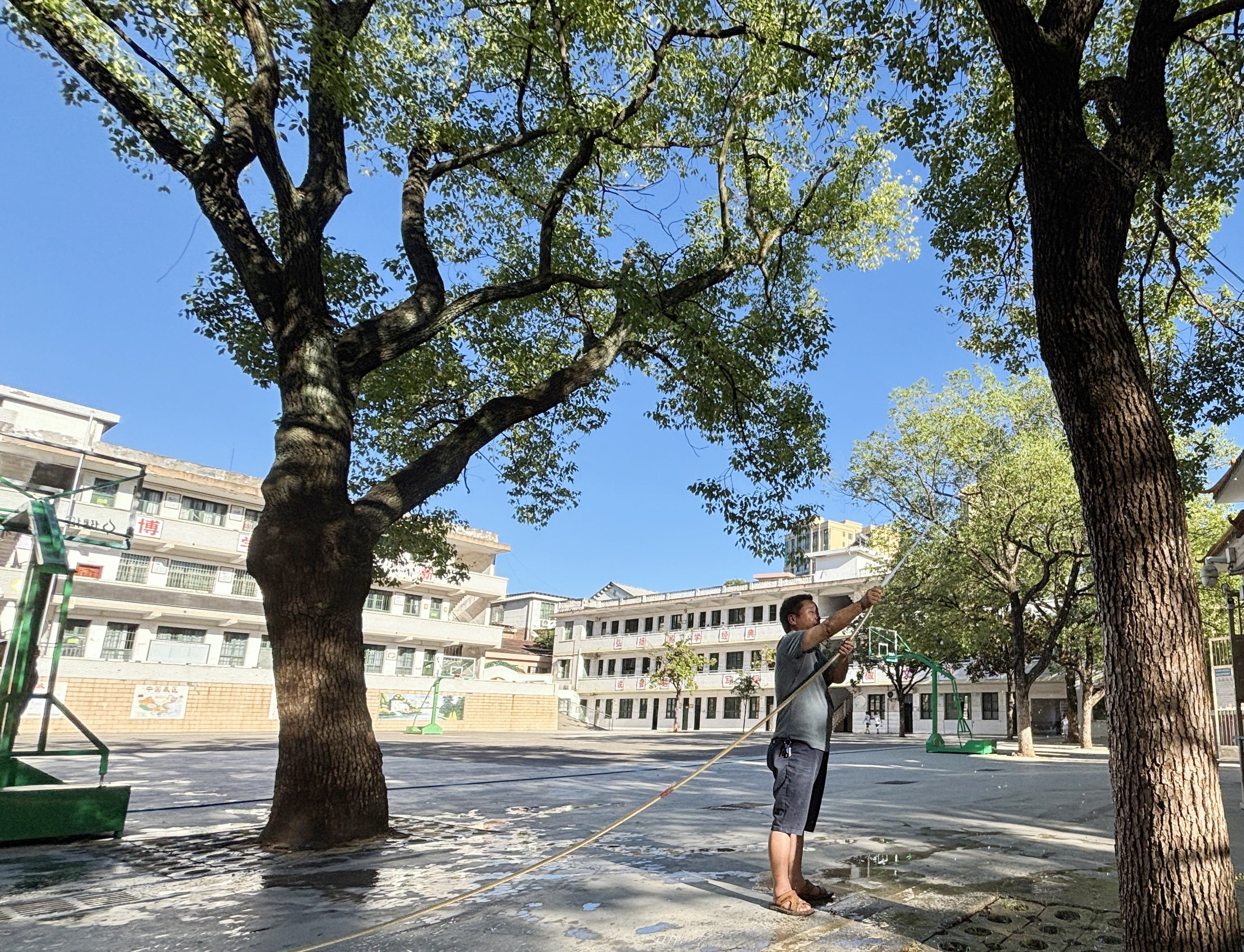 值班教师给树木浇水 (2).jpg