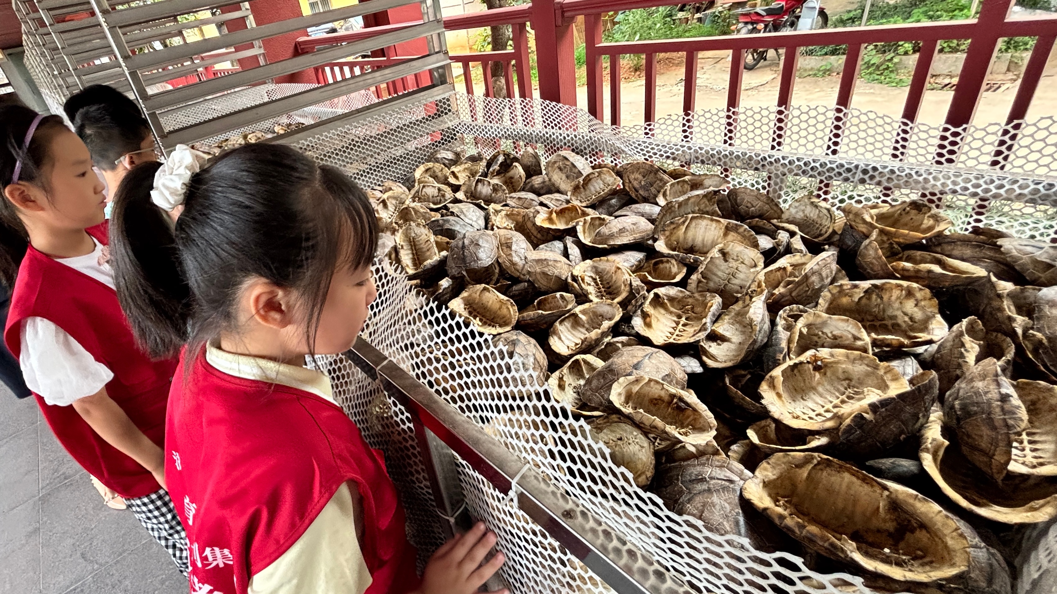 微信图片_20260811081823_235_96.jpg