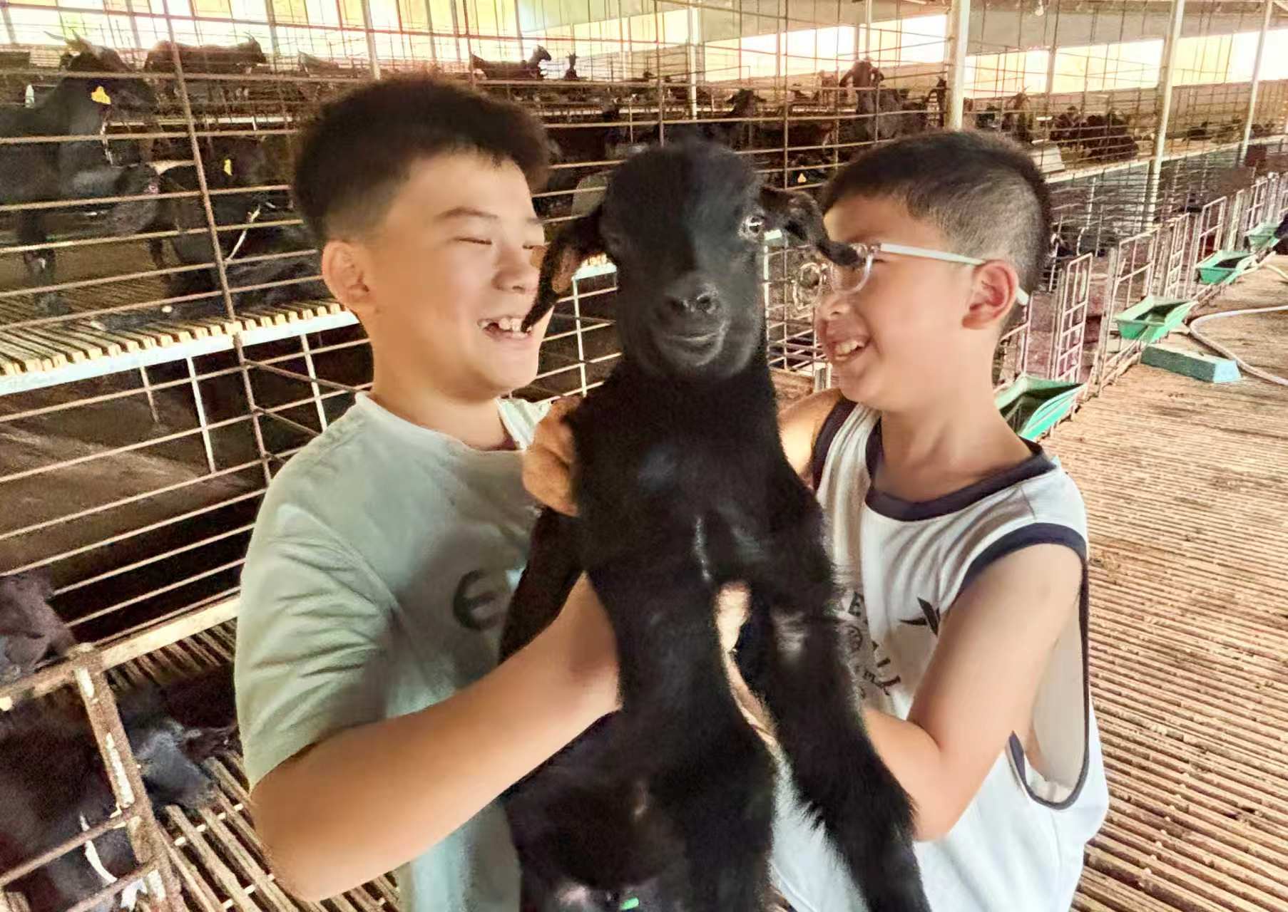 微信图片_20260806100113_68_199.jpg