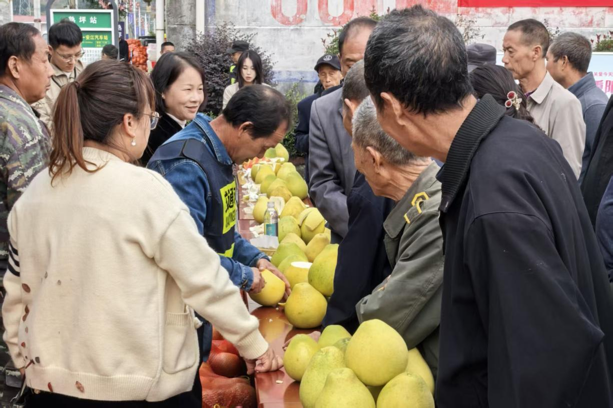 图片2.png 图片2.png