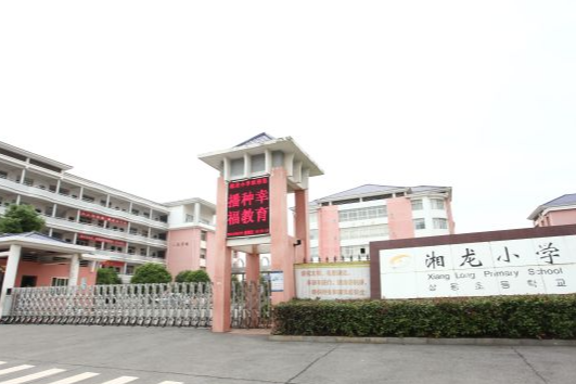 指向“关键问题解决”的小学科学实验教学的实践与反思