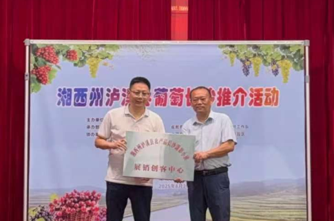 葡萄托起泸溪梦 省会长沙展风采