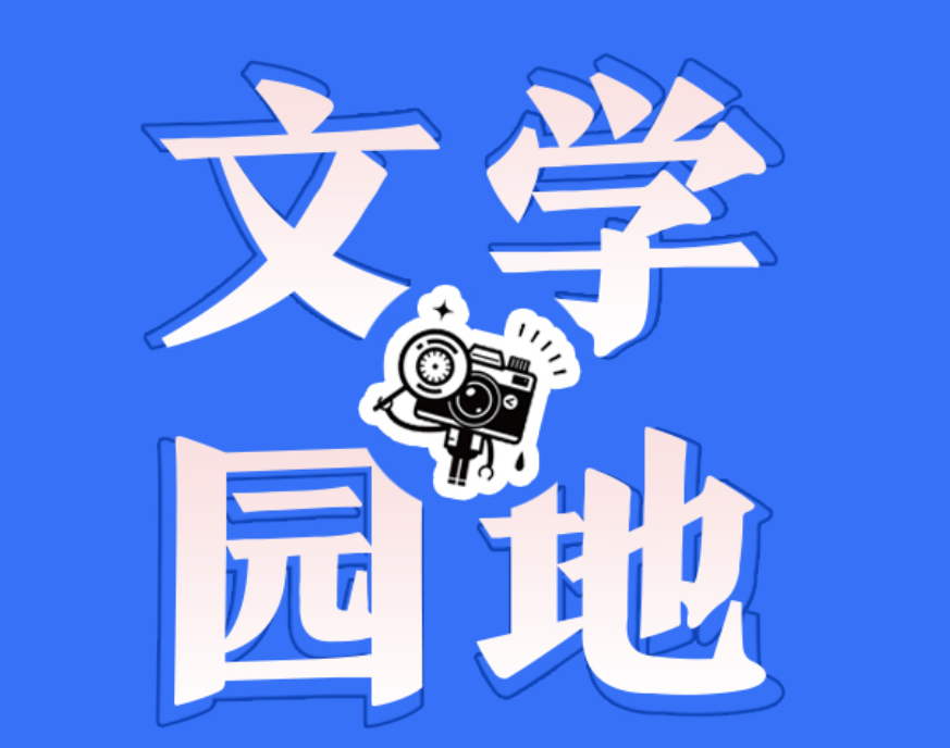 【北塔区】一场梦幻之旅