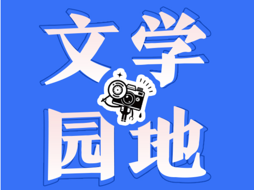 【北塔区】一场梦幻之旅