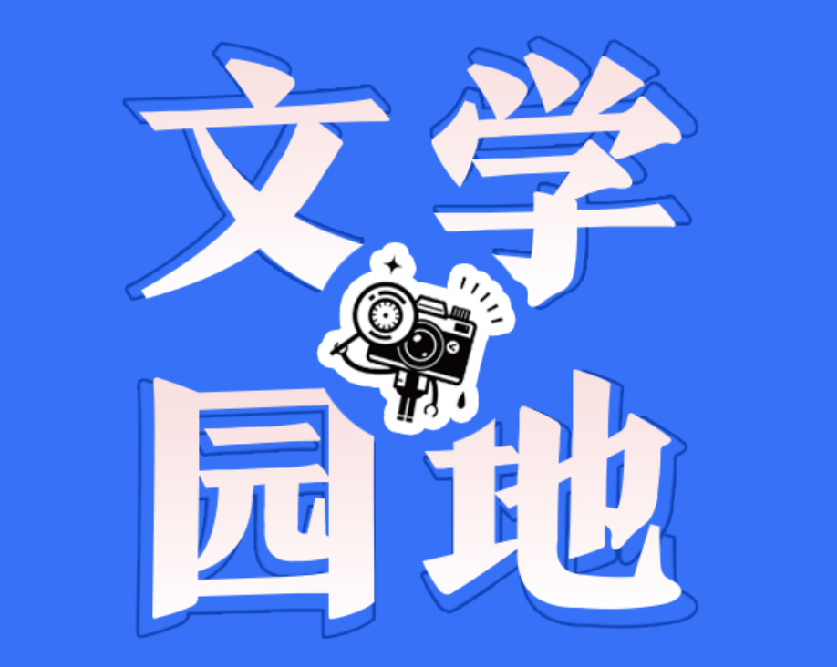 【衡东县站】冬至荒野 南方之思