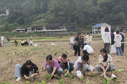 新晃中寨镇中学：“田间课堂”开课了