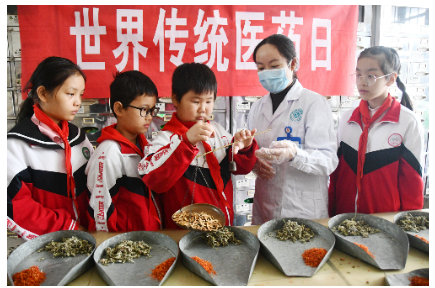 江永县第一小学：探秘中医药  传承古智慧