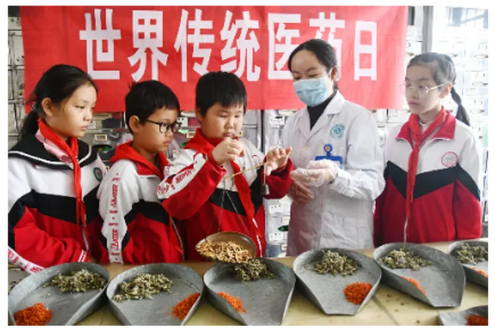 江永县第一小学：探秘中医药  传承古智慧