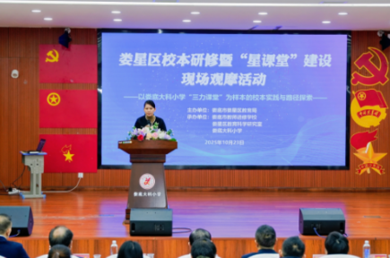 娄底市娄星区：举行校本研修观摩活动