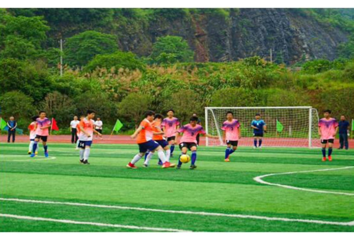 双牌：筑牢体育教育基石  激活校园青春动能