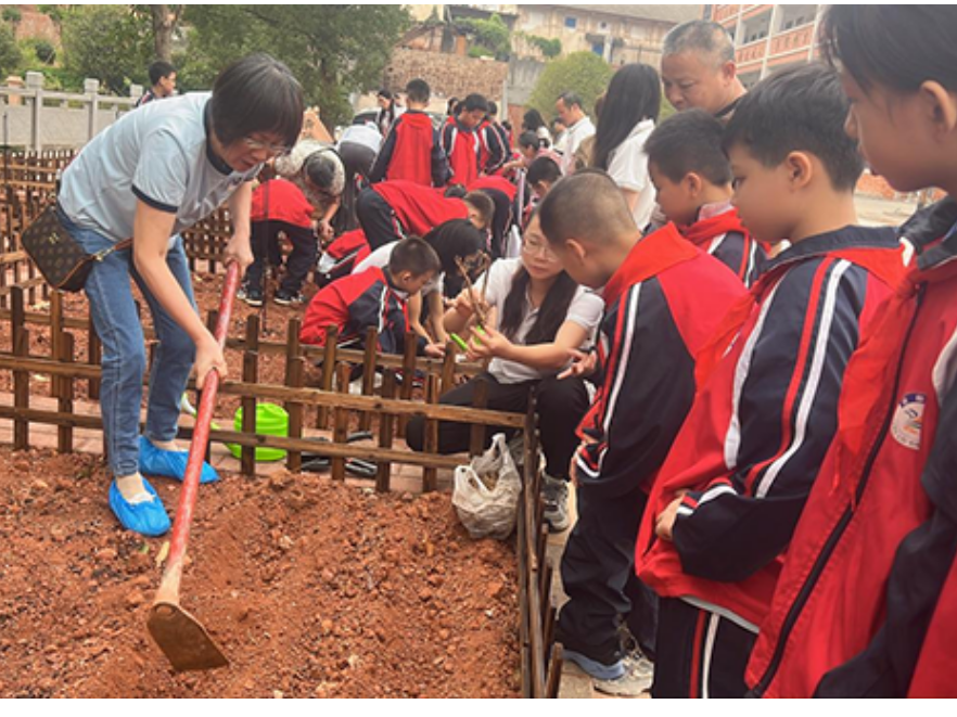 【衡阳县站】杨柳学校：播撒劳动种子，传承非遗文化