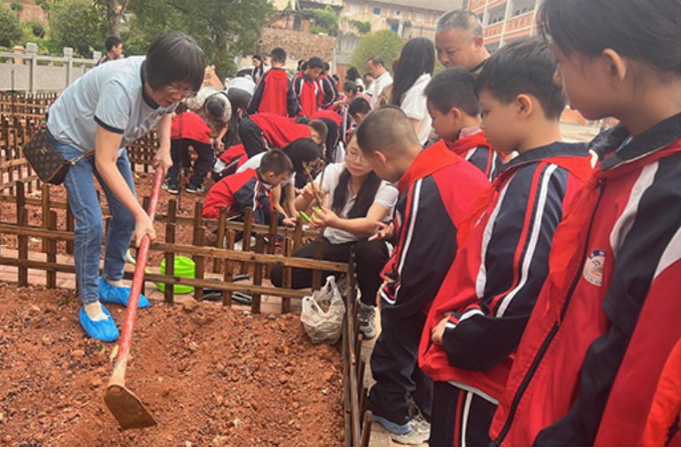 【衡阳县站】杨柳学校：播撒劳动种子，传承非遗文化