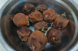 【浏阳站】晒柿子