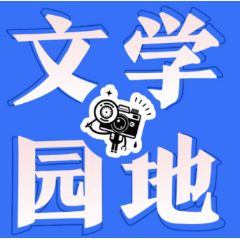 【鼎城区站】 三张奖状里的成长密码