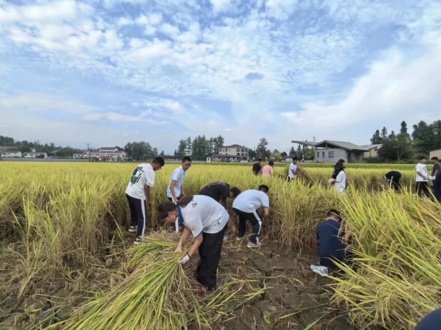 长沙望城一中西藏学子的别样国庆