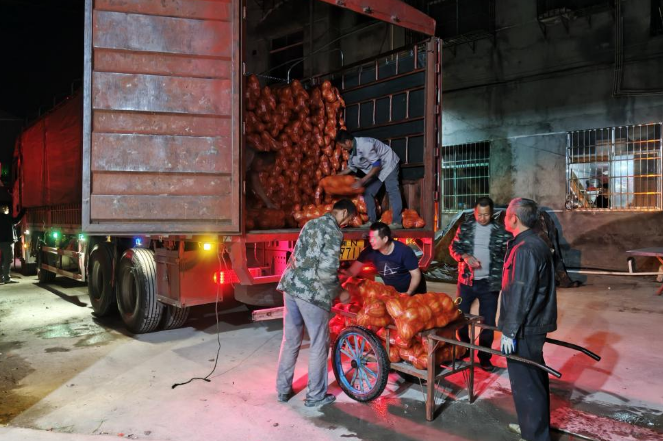 湖南女子学院：“庭院经济+消费帮扶”模式助力乡村振兴