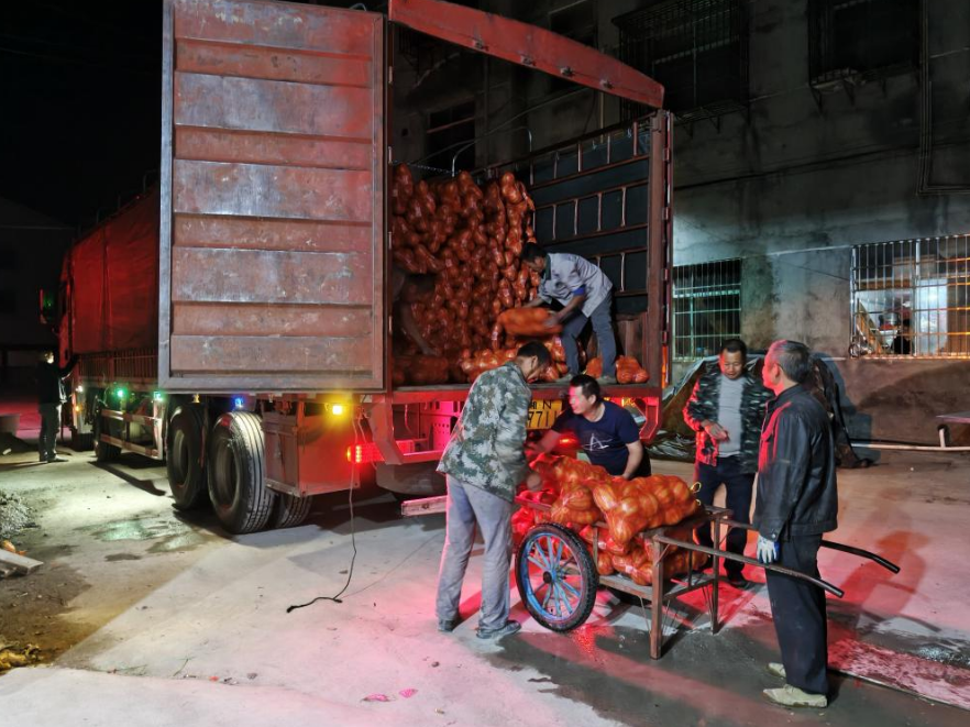 湖南女子学院：“庭院经济+消费帮扶”模式助力乡村振兴