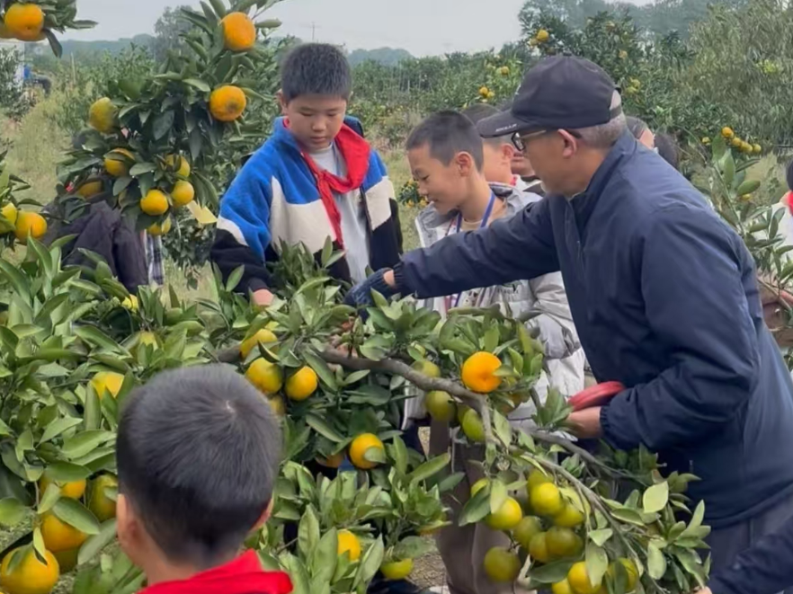 石门县蒙泉镇芙蓉学校：用数学“智”助家乡柑橘产业