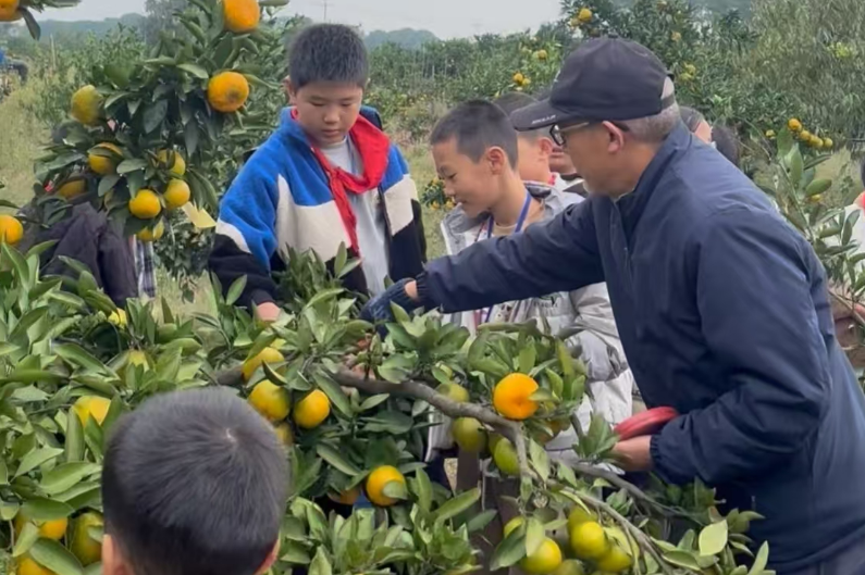 石门县蒙泉镇芙蓉学校：用数学“智”助家乡柑橘产业