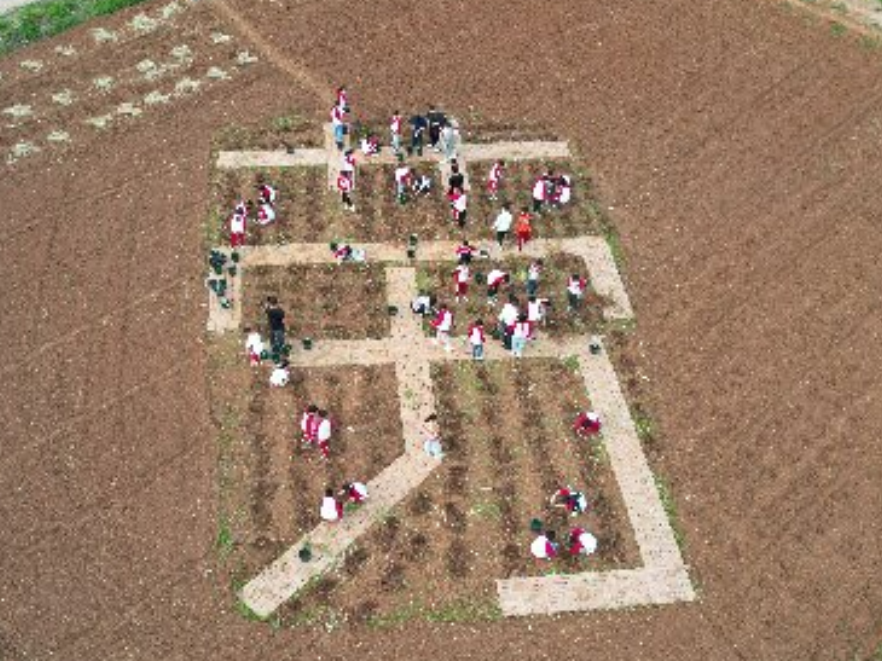 “十四五”非凡教育答卷 | 临武：劳育赋能成长 五育融合共生