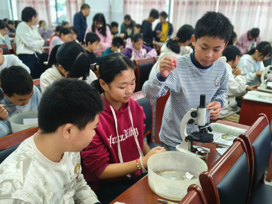 桂东县：名师引领  送“培”赋能