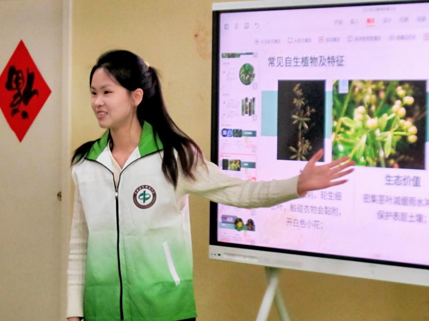 小草木连接湘与疆：清风林语携“草木”赴一场生态之约