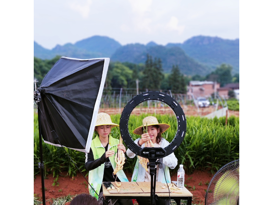 校企携手助振兴 桃花香里话丰年 ——湖南工学院深耕江永三载 校企合作赋能乡村振兴