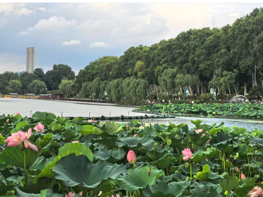 我是小小家乡推荐官【雨湖区站】湘莲之乡，花石有请！
