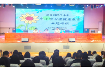 道县：专题培训赋能 提升心育能力