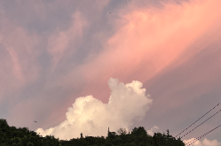 【衡阳县站】我变成了一朵云