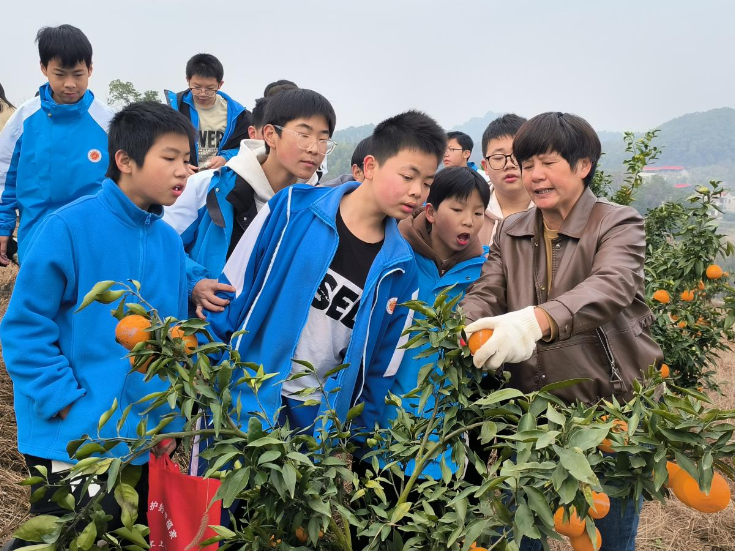 双峰县文正学校：乡土实践育新人 五育融合硕果累