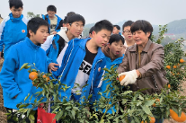 双峰县文正学校：乡土实践育新人 五育融合硕果累