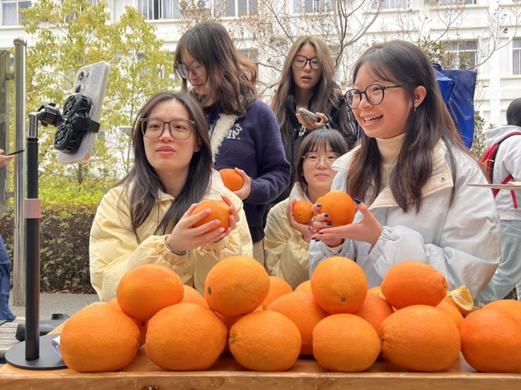 直播破局！湘南学院文新院一月助销宜章脐橙7万斤