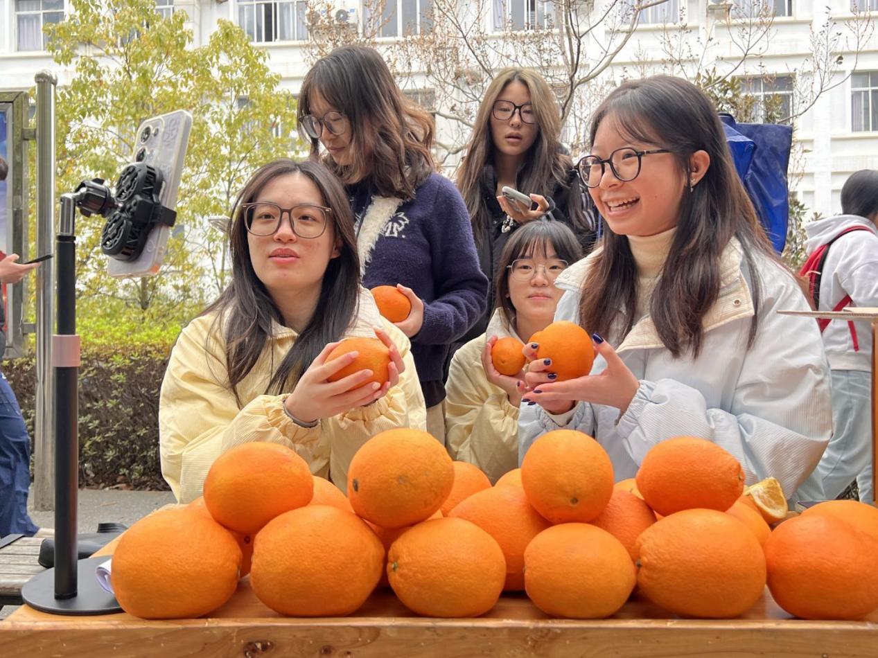 脐橙2.jpeg 脐橙2.jpeg