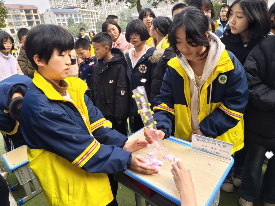 绥宁县民族中学首届物理科技展成功举办