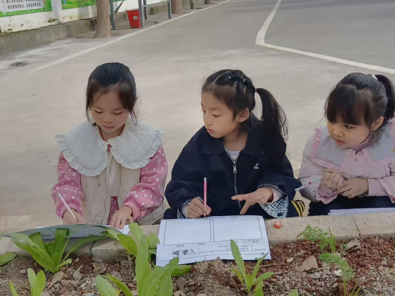 图片2.png 图片2.png