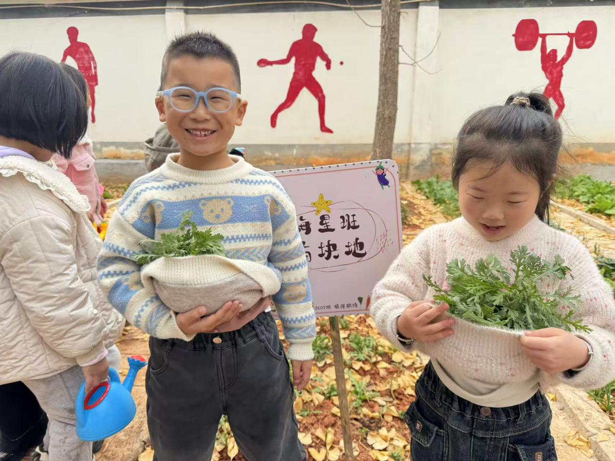 图片5.png 图片5.png