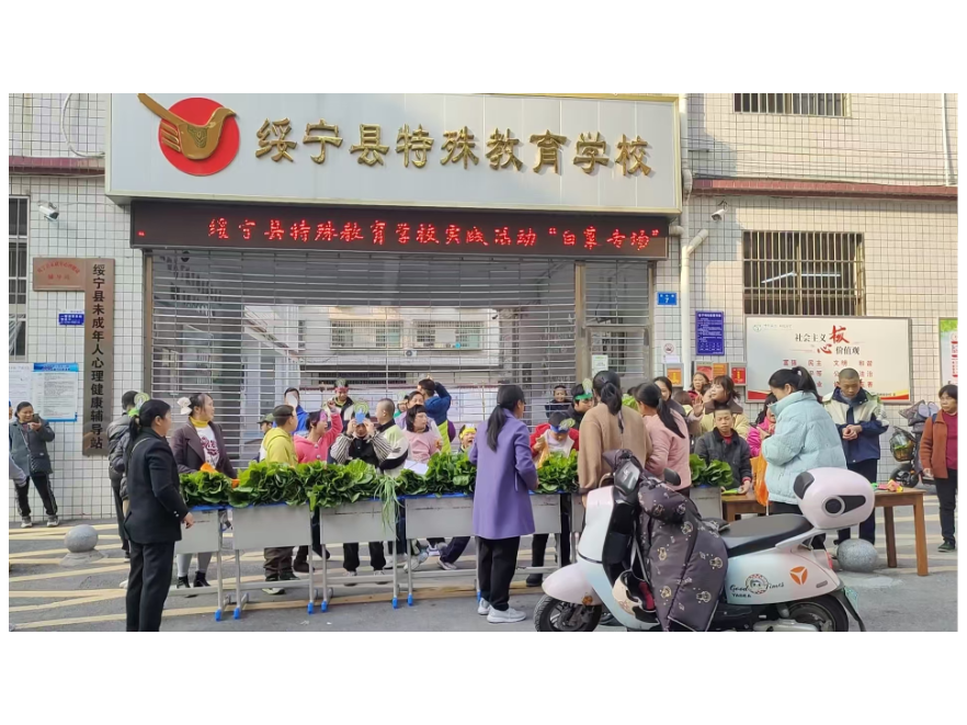 爱心蔬菜，暖心收获，绥宁特殊教育学校学生义卖自种白菜