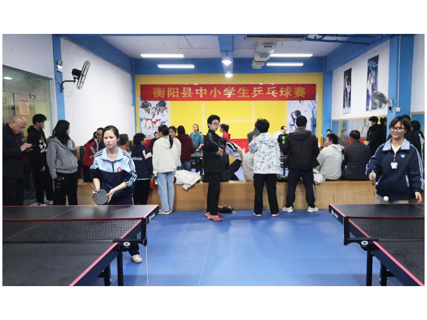 衡阳县：“乒”搏青春风采，弘扬体育文化
