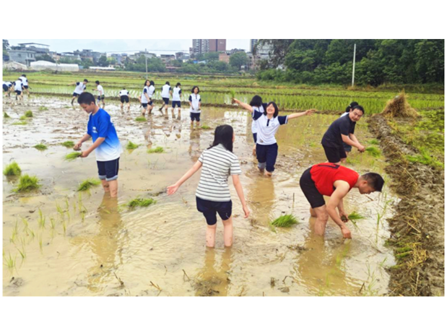 道县：劳动润心田 实践促成长