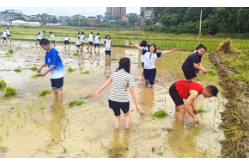 道县：劳动润心田 实践促成长