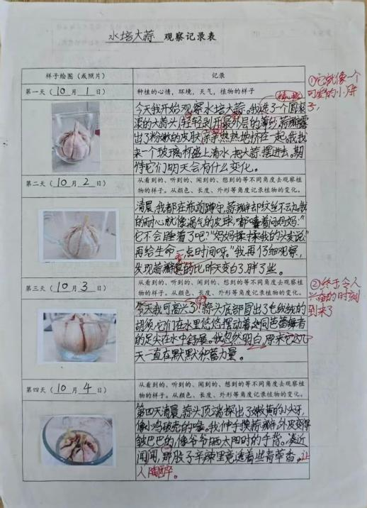 图片5.png 图片5.png