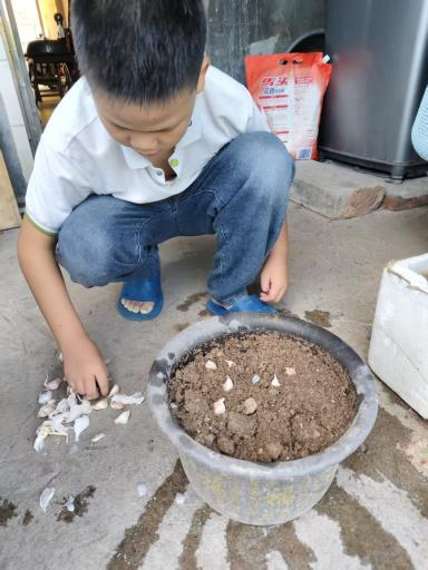 图片3.png 图片3.png