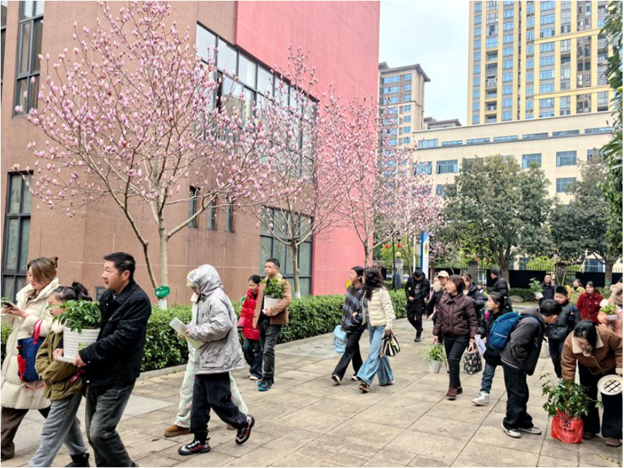 开学第一讯 | 常德市鼎城区江南小学：春归校园 梦启新篇