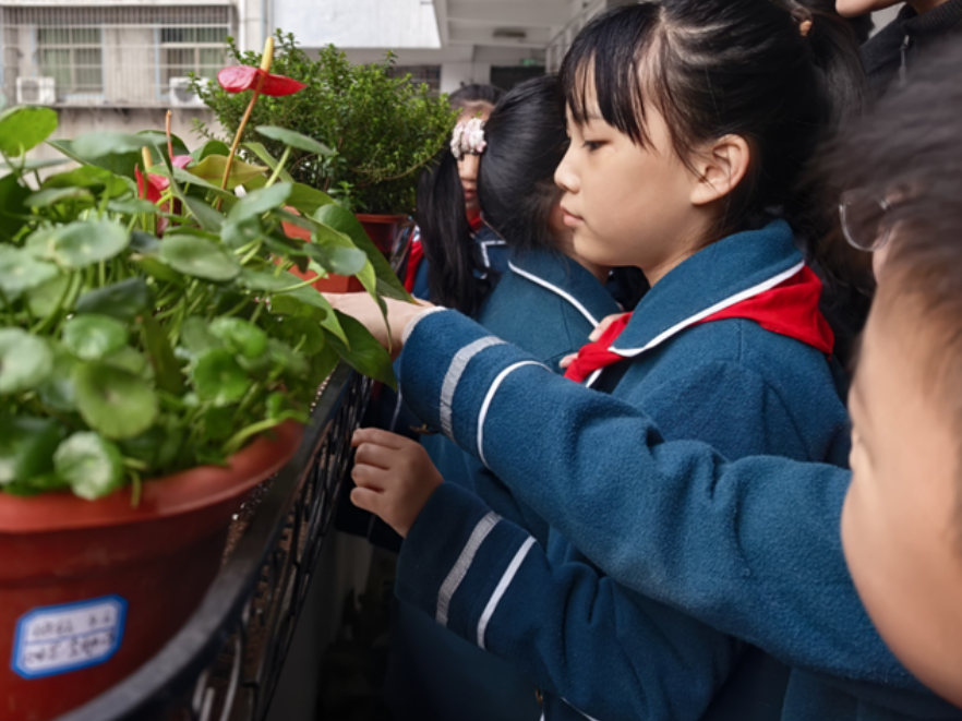 劳动教育“活”起来，衡阳市石鼓区人民路小学这场实践活动有看点