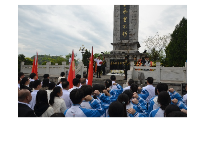 嘉禾：清明祭英烈 红色永传承