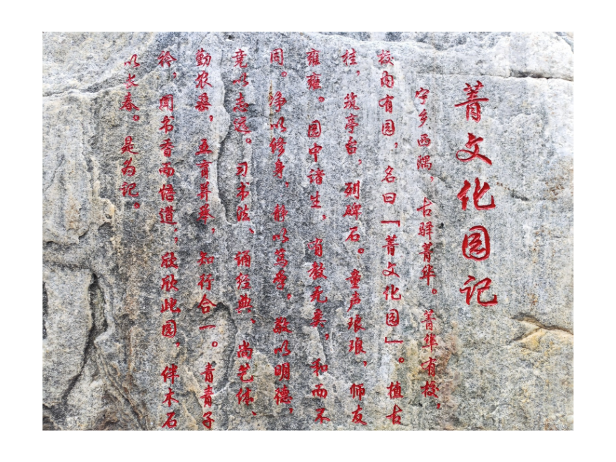“菁”耕不辍，劳动生花——宁乡市菁华铺乡中心小学劳动育人实践侧记