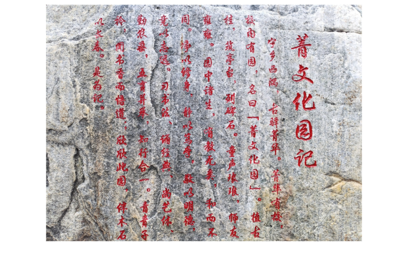 “菁”耕不辍，劳动生花——宁乡市菁华铺乡中心小学劳动育人实践侧记